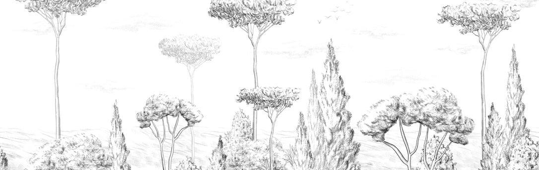 Papel pintado Bosque antiguo panorámico