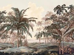 Papier peint paysage Célèbes terra