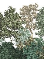 Papel pintado paisaje bosque grabado