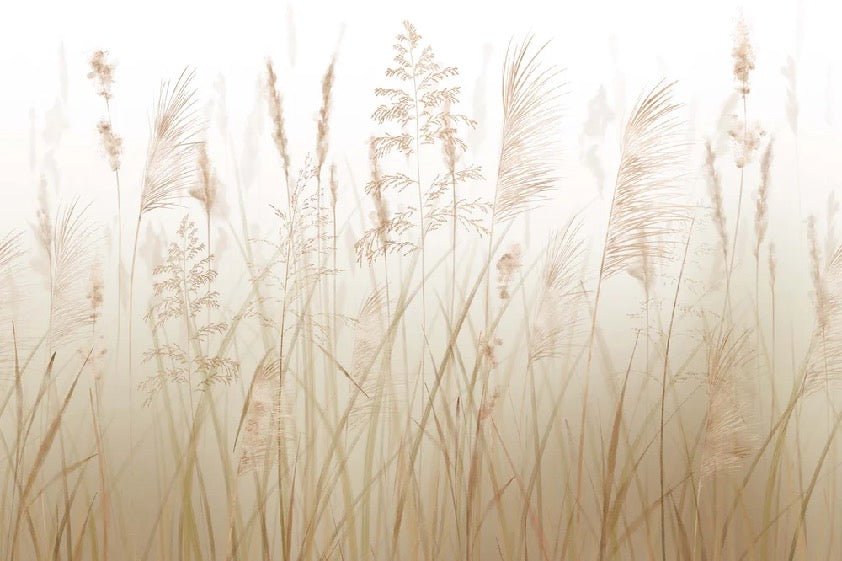 Fondo de flores de campo de trigo