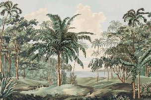 Papier peint paysage Célèbes, XXL, tendance