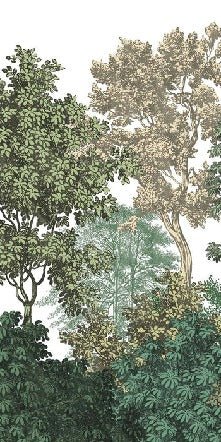 Papier peint paysage forêt gravure, XXL, tendance