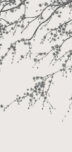 Papel pintado panorámico de flores en blanco y negro Sakura