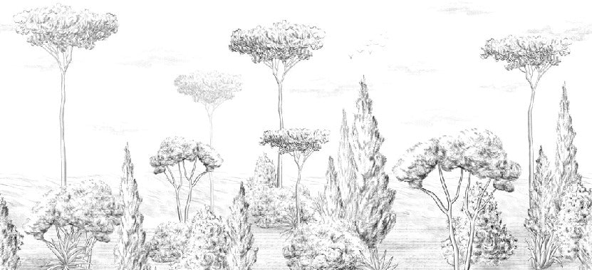Papel pintado Bosque antiguo panorámico