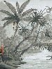 Papel pintado Contraste selva