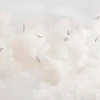 Papier peint panoramique - Ciel intemporel, XXL, tendance