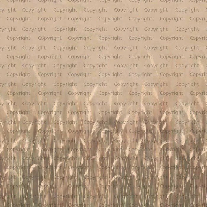 Papel pintado Beige panorámico hierba salvaje