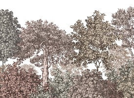 Papel pintado Paisaje bosque grabado rosa