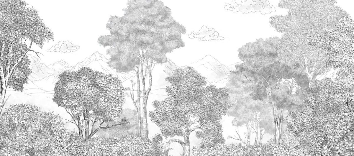 Papel pintado de Bosques y montañas panorámicos