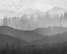 Papel pintado Panorama de la naturaleza en blanco y negro