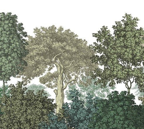 Papier peint restaurant paysage forêt gravure