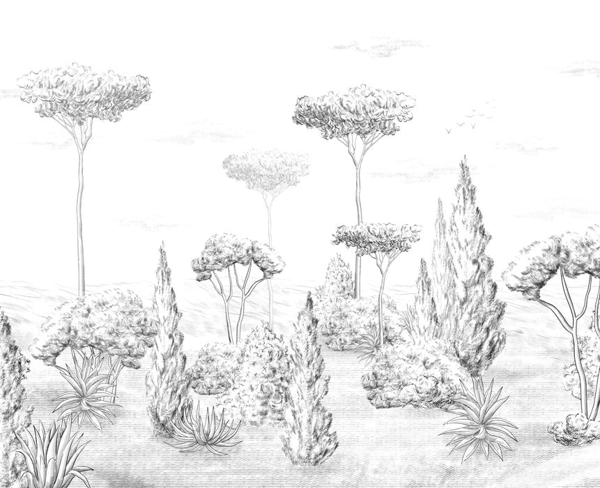 Papel pintado Bosque antiguo panorámico