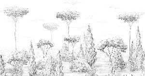 Papel pintado Bosque antiguo panorámico