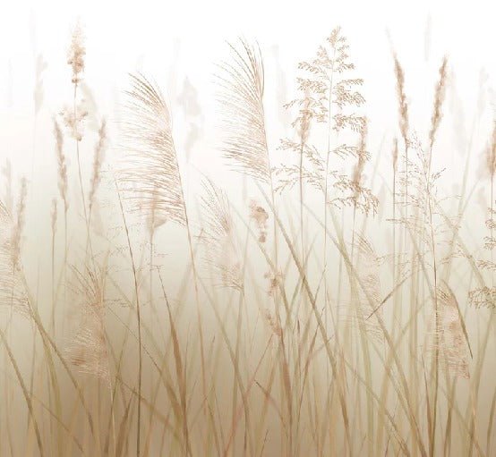 Papier peint fleur des champs de blé, XXL, tendance