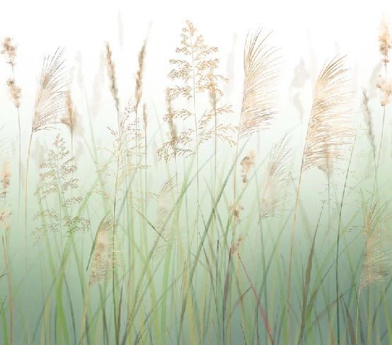 Fondo de flores de campo de trigo verde