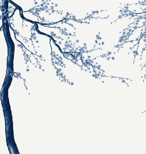 Papel pintado panorámico de flores blancas de Sakura
