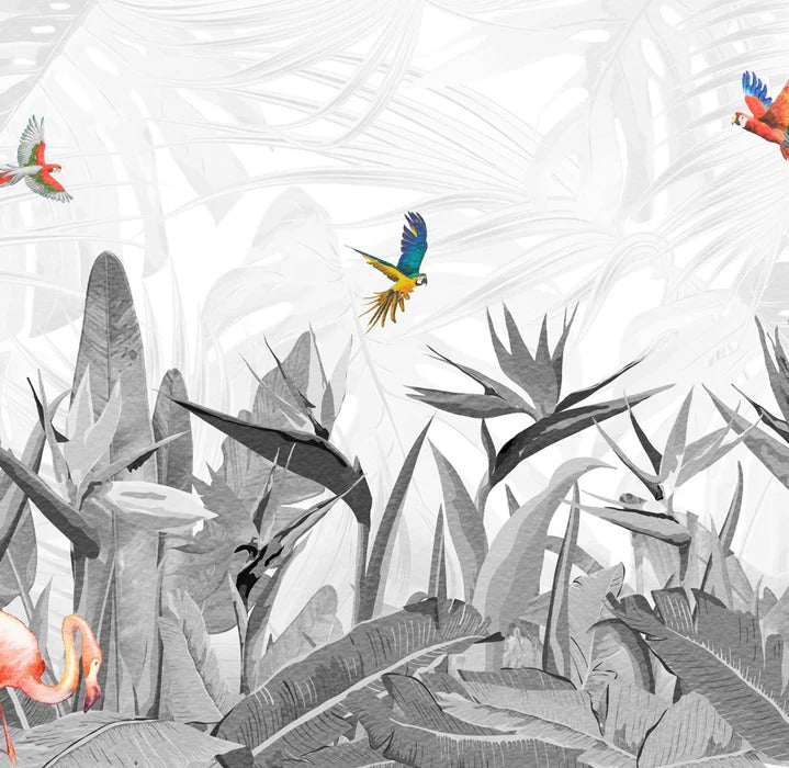 Papier peint noir et blanc oiseau du paradis, XXL, tendance