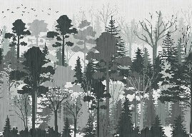 Papel pintado Panoramic nature forest green