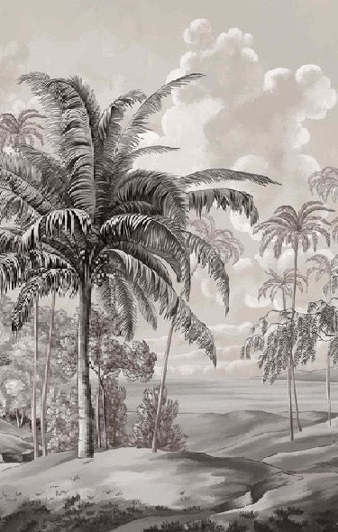 Papier peint paysage Célèbes noir et blanc