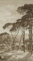 Papel pintado Paisaje panorámico italiano en ámbar