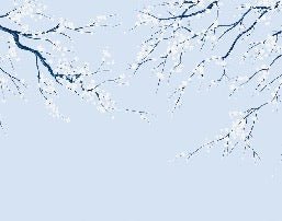 Papier peint panoramique fleur Sakura, XXL, tendance