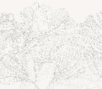 Papel pintado Vals de flores panoramico gris y blanco