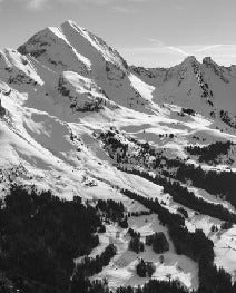 Papel pintado Aravis en blanco y negro
