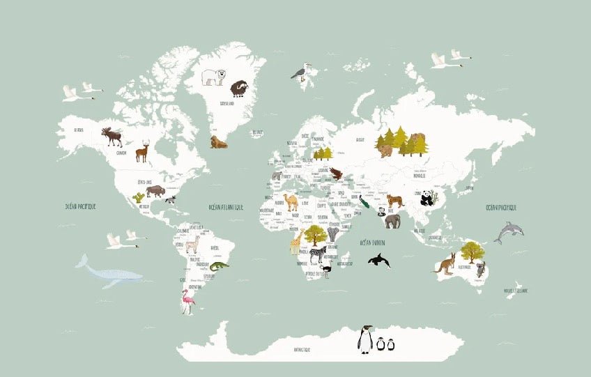 Papier peint Carte du monde en Francais enfant vert, XXL, tendance