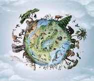 Papel pintado infantil planeta animales