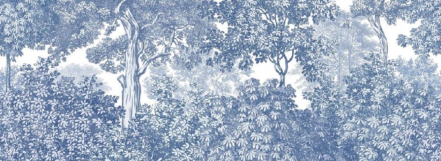 Papier peint paysage forêt gravure bleu