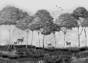 Papel pintado panorámico Pinos místicos y ciervos