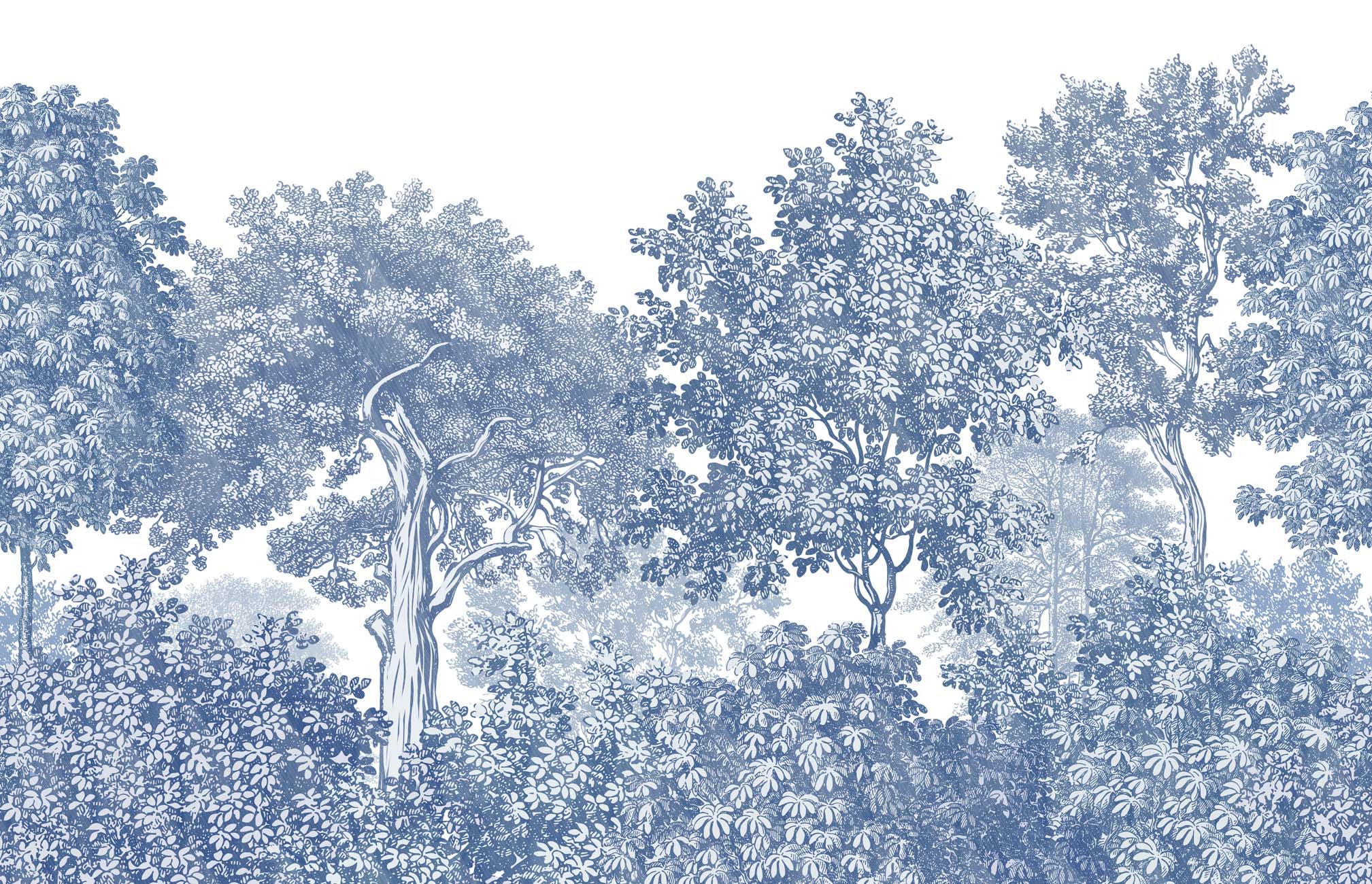 Papier peint paysage forêt gravure bleu, XXL, tendance