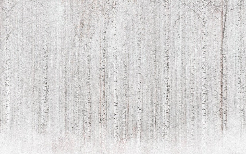 Papel pintado Envolvente bosque de abedules