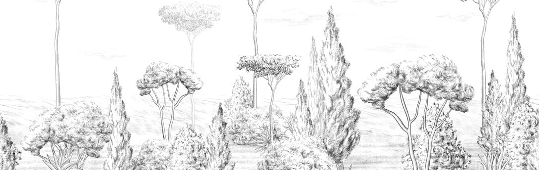 Papel pintado Bosque antiguo panorámico