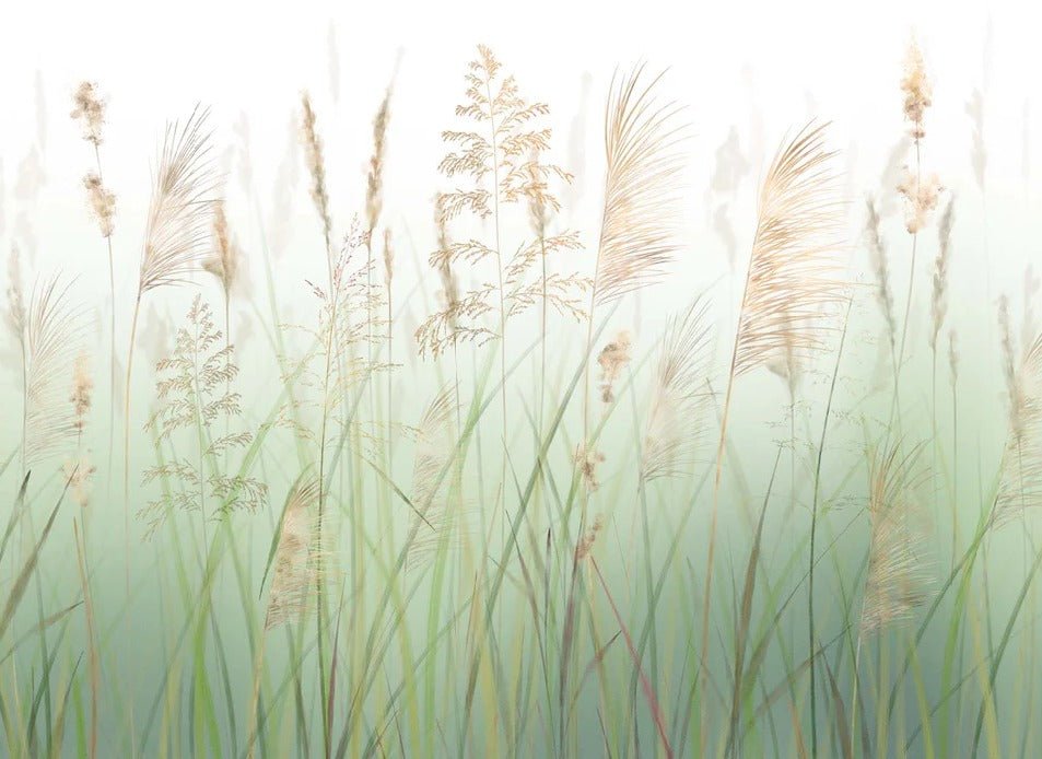 Fondo de flores de campo de trigo verde