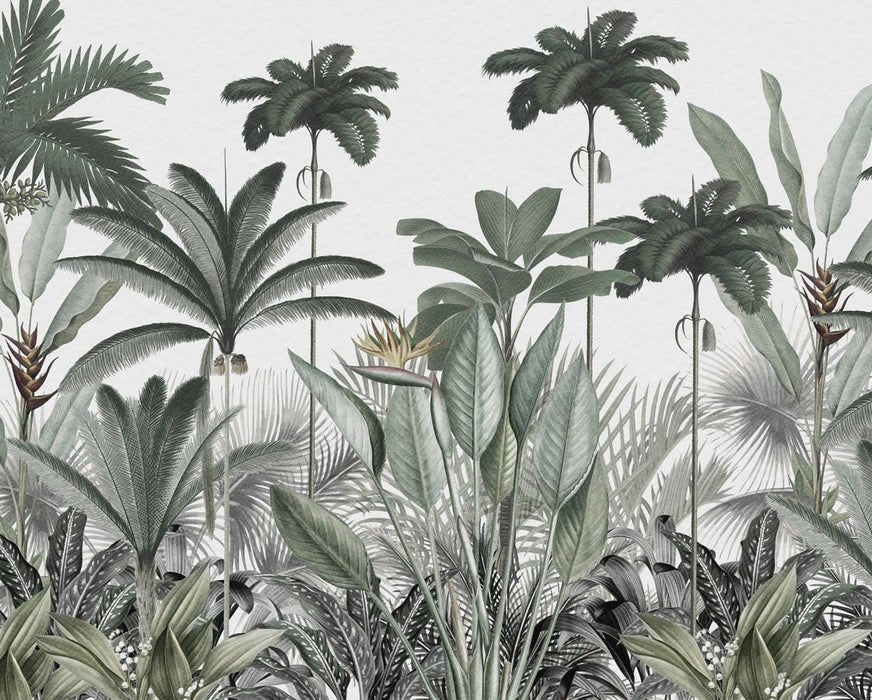 Papel pintado Árbol de la selva panorámico