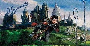 Fondo de pantalla panorámico del partido de quidditch de Harry Potter