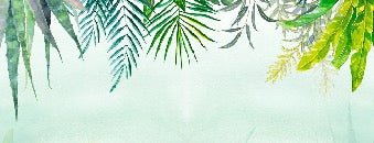 Papel pintado Selva