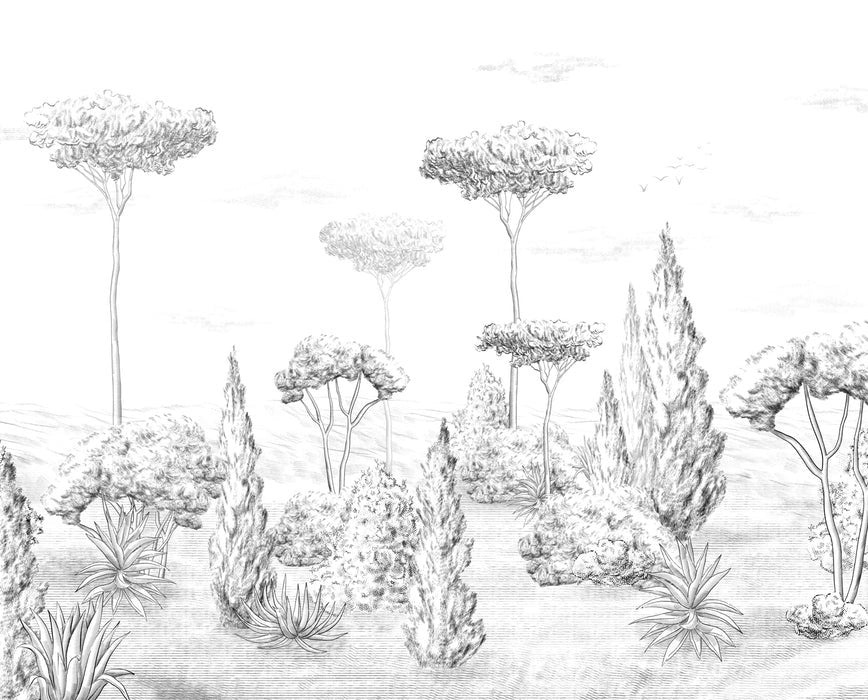 Papel pintado Bosque antiguo panorámico