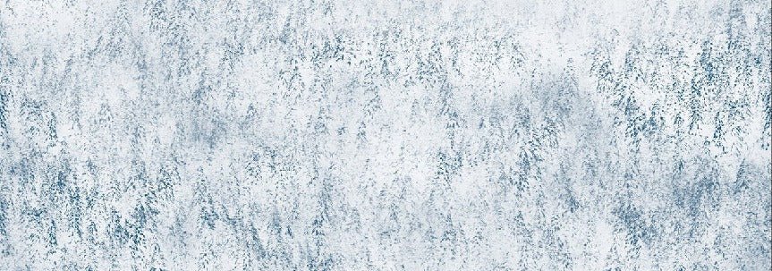 Papier peint forêt brumeuse Alpine design, mural concept, tendance