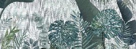 Fondos de Jungle 2