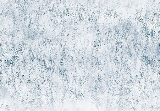 Papier peint forêt brumeuse Alpine design, XXL, tendance
