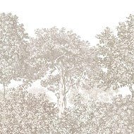 Papier peint paysage forêt gravure beige, XXL, tendance