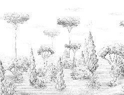 Papier peint panoramique forêt antique, XXL, tendance