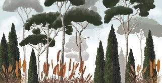 Papier peint sur mesure cyprès pins et herbes de la pampa, mural concept, tendance