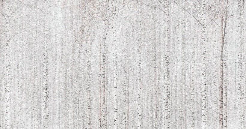 Papel pintado Envolvente bosque de abedules