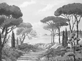 Papier peint balade dans les calanques noir et blanc, XXL, tendance