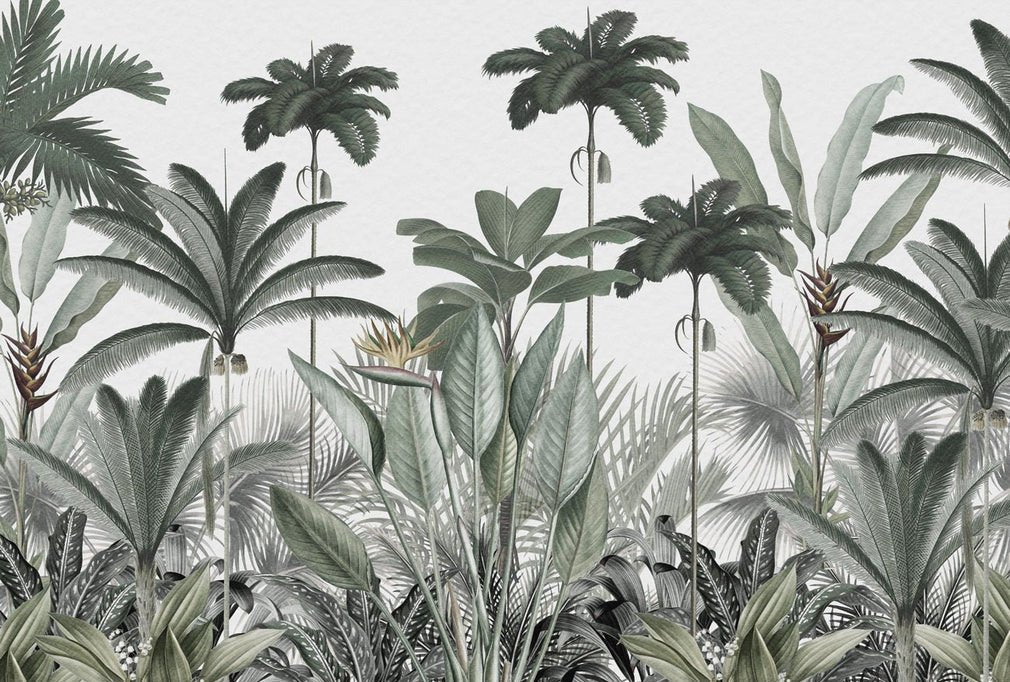 Papel pintado Árbol de la selva panorámico