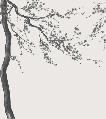 Papel pintado panorámico de flores en blanco y negro Sakura