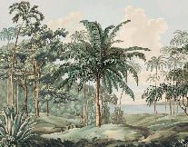 Papier peint paysage Célèbes, XXL, tendance